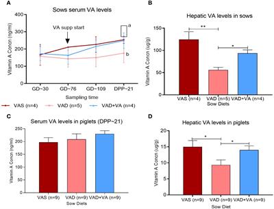 Maternal immunization and vitamin A sufficiency impact sow primary adaptive immunity and passive protection to nursing piglets against porcine epidemic diarrhea virus infection